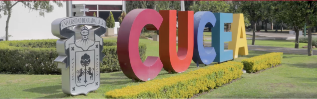 microeconomia_básica